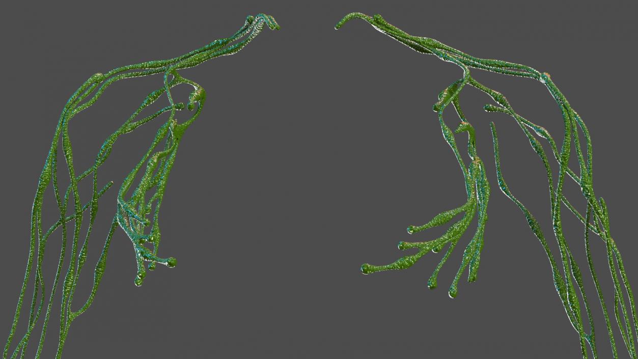 3D Young Boy Lymphatic System