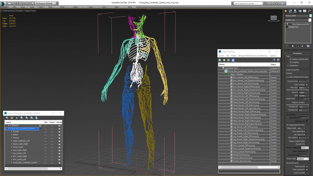 3D Young Boy Lymphatic System