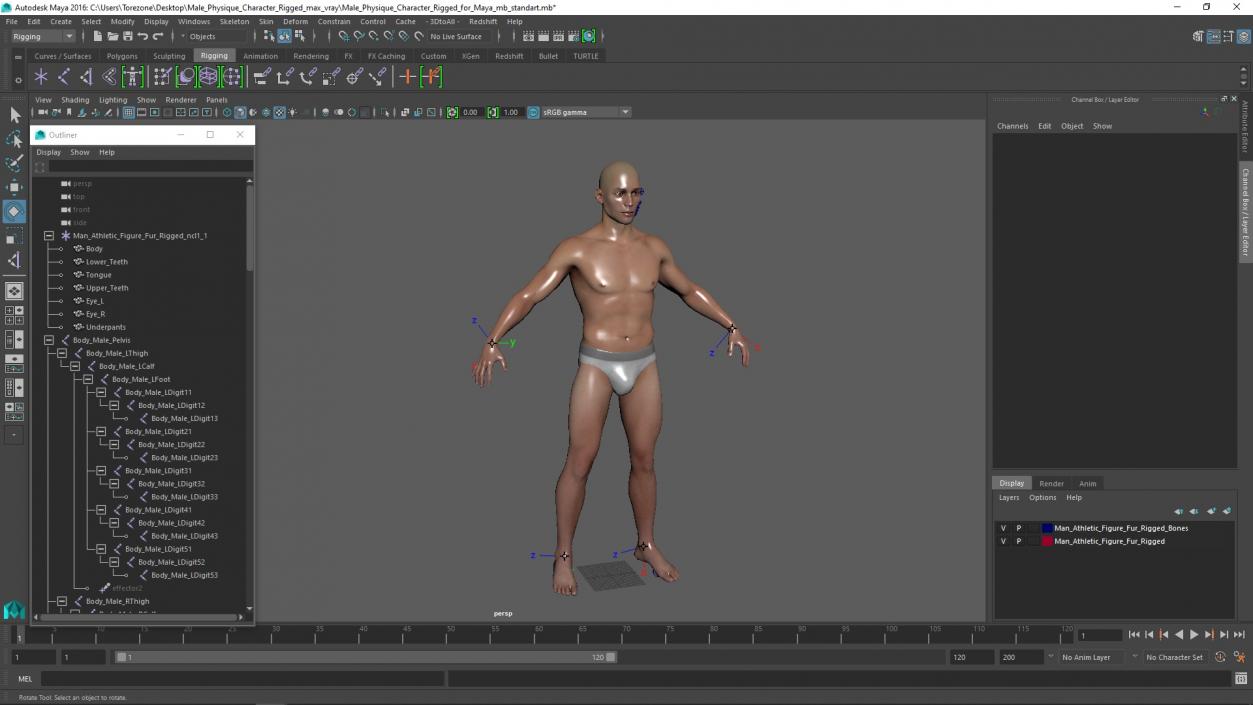 Male Physique Character Rigged for Maya 3D model