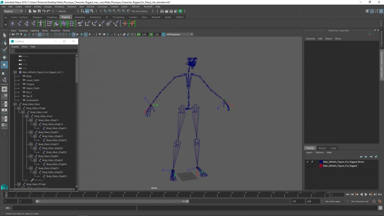 Male Physique Character Rigged for Maya 3D model