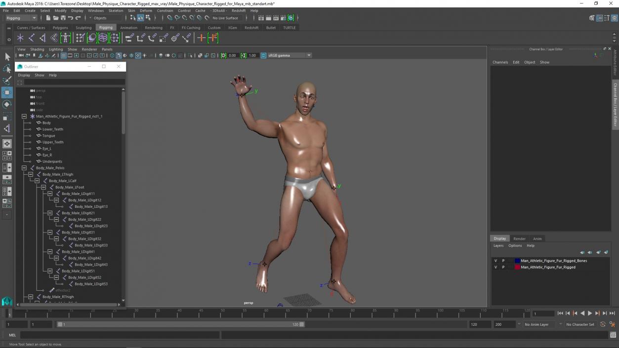 Male Physique Character Rigged for Maya 3D model