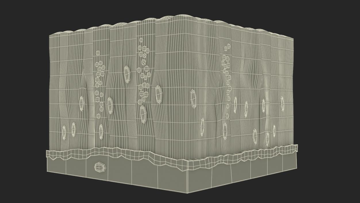 Glandular Epithelium 2 3D