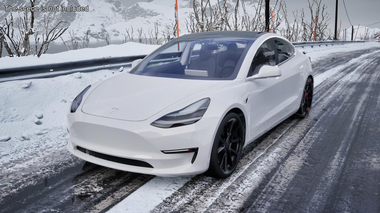 Snow Chains on Tesla Wheels Rigged 3D model