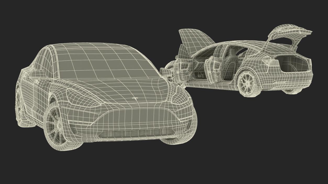 Snow Chains on Tesla Wheels Rigged 3D model