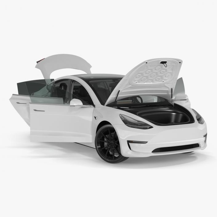 Snow Chains on Tesla Wheels Rigged 3D model