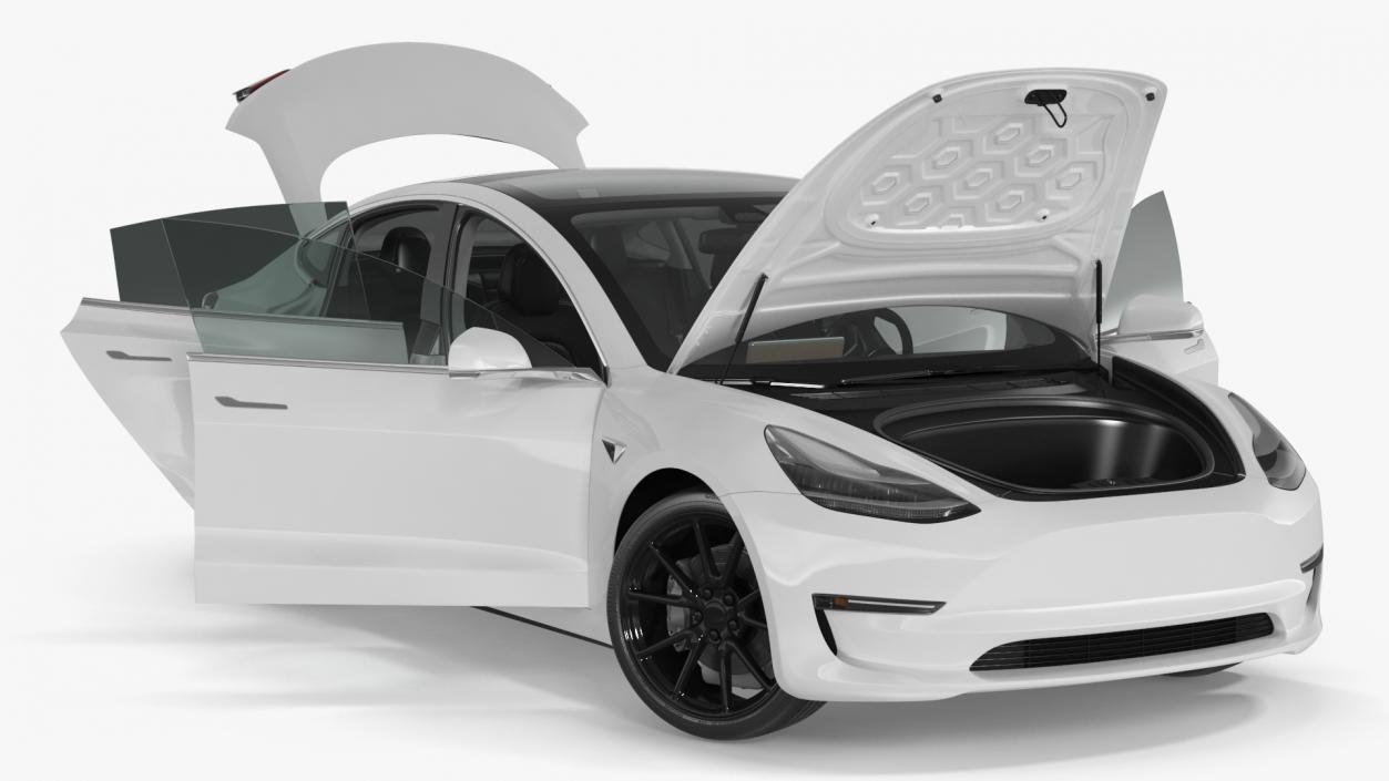 Snow Chains on Tesla Wheels Rigged 3D model