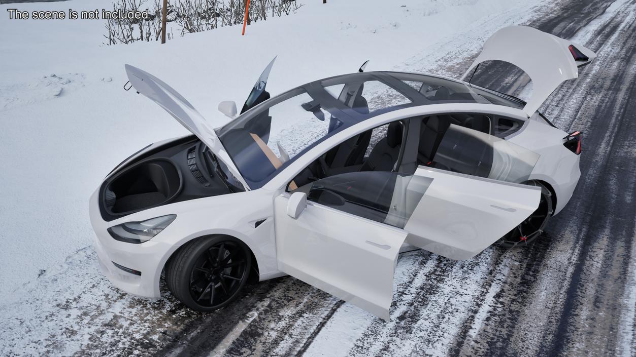 Snow Chains on Tesla Wheels Rigged 3D model