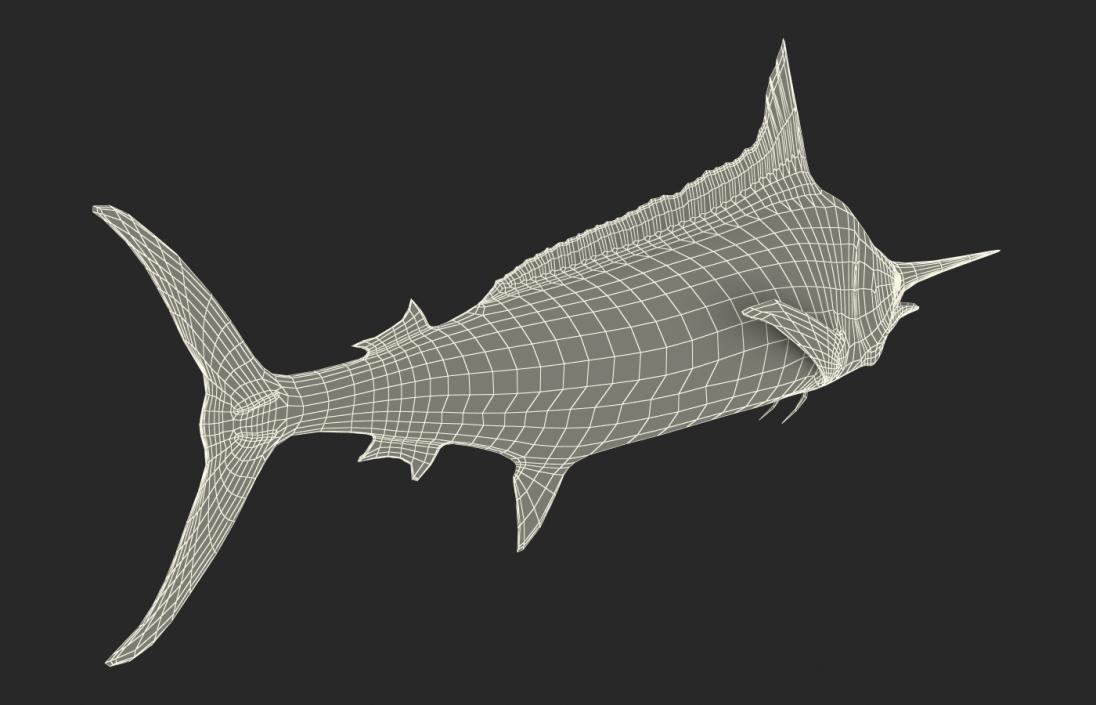 3D Rigged Fishes Collection 3