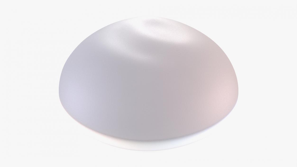 Extra Full Saline Breast Implant 3D