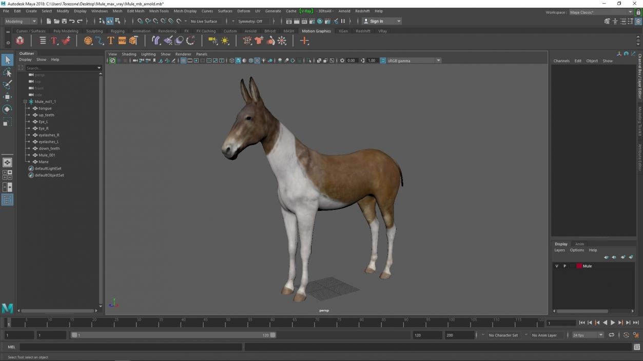 3D model Mule