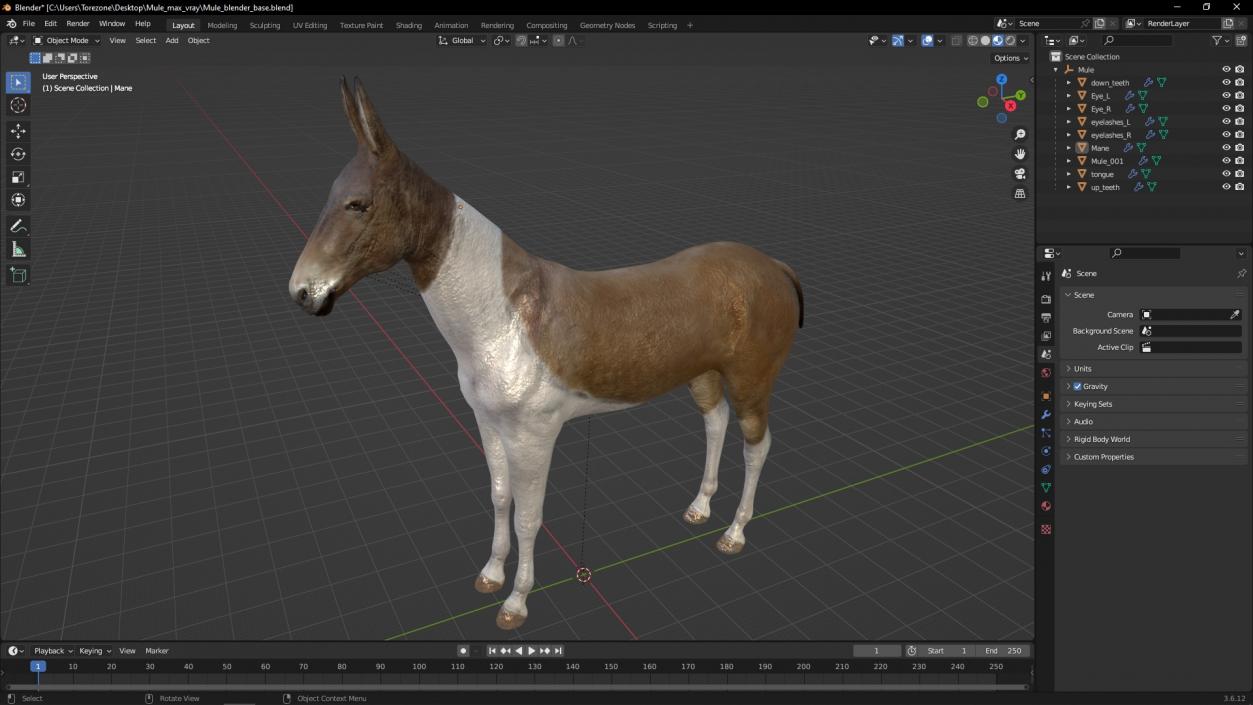 3D model Mule