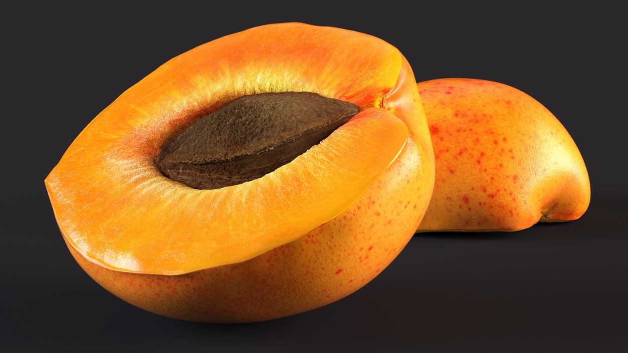 Apricot Cut in Half 3D model