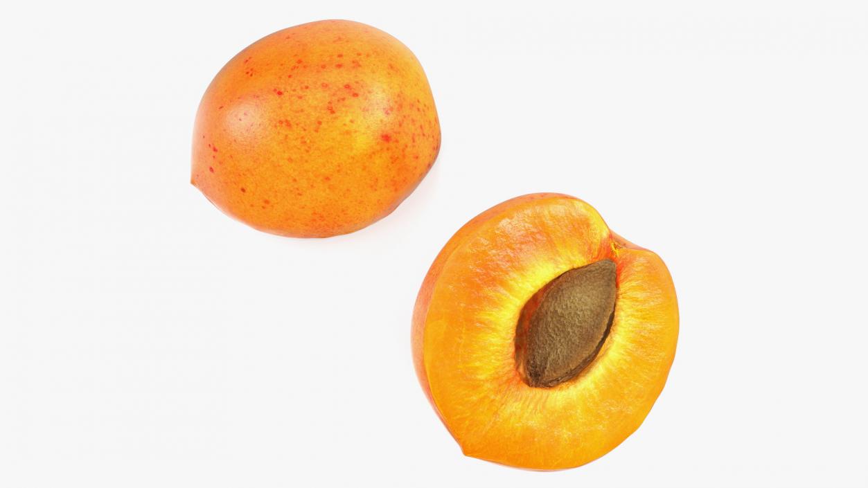 Apricot Cut in Half 3D model