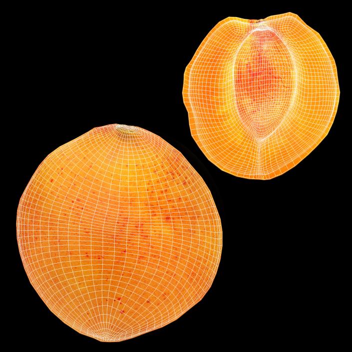 Apricot Cut in Half 3D model