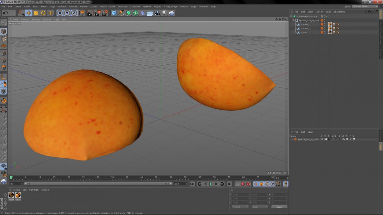 Apricot Cut in Half 3D model