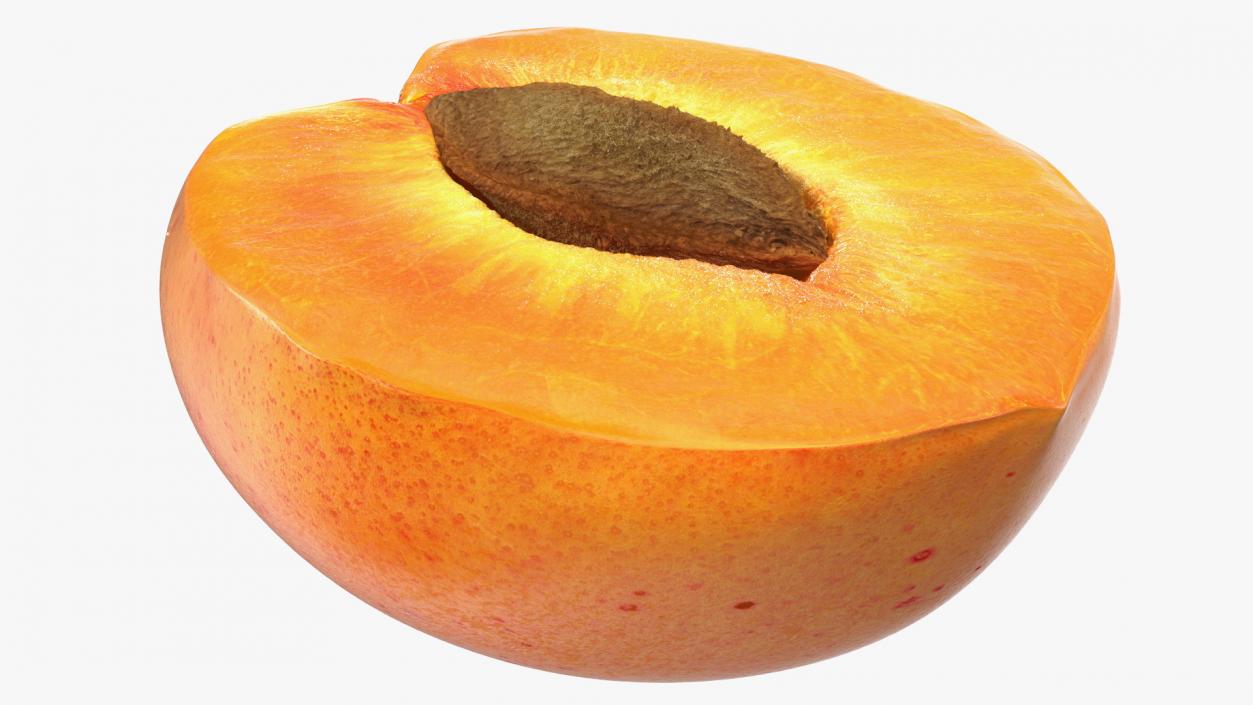 Apricot Cut in Half 3D model