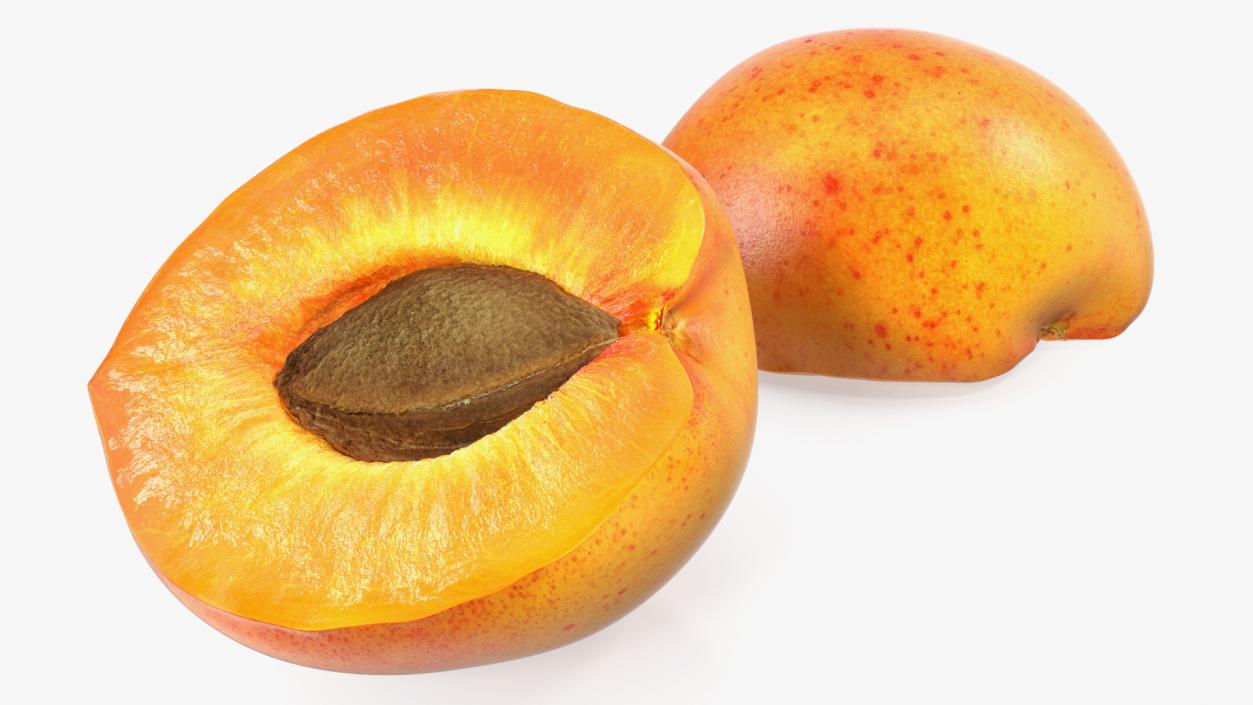 Apricot Cut in Half 3D model