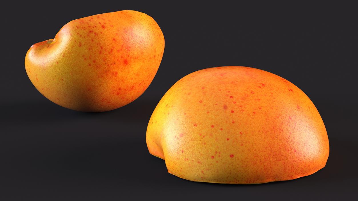 Apricot Cut in Half 3D model