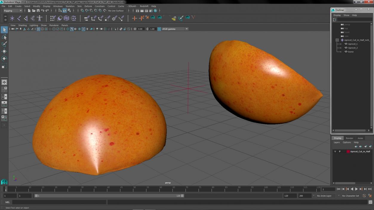 Apricot Cut in Half 3D model