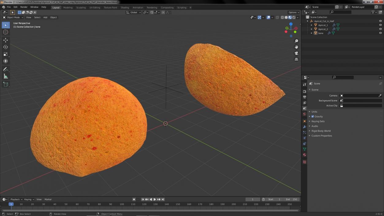 Apricot Cut in Half 3D model