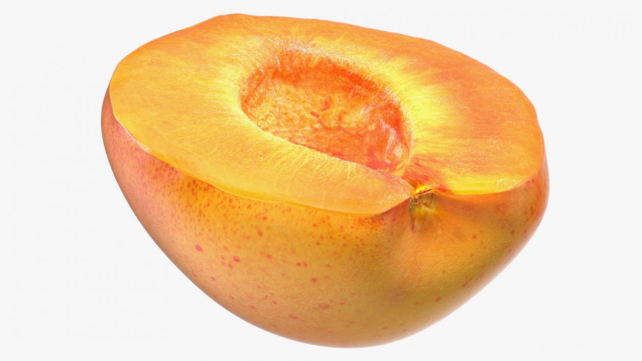 Apricot Cut in Half 3D model