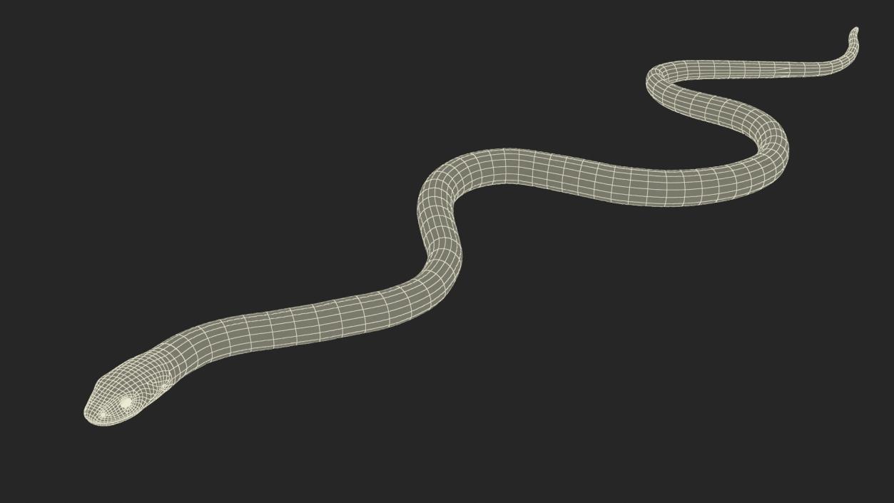 3D model Grass Snake Green Rigged for Cinema 4D 2