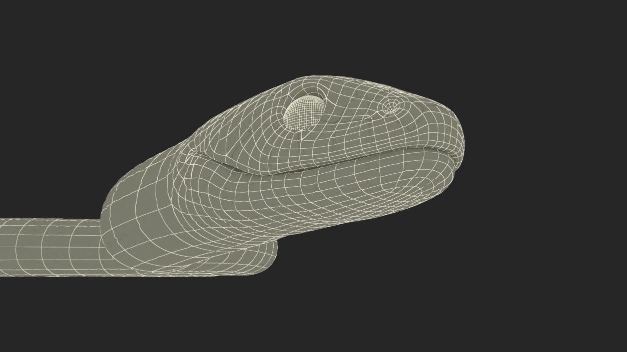 3D model Grass Snake Green Rigged for Cinema 4D 2