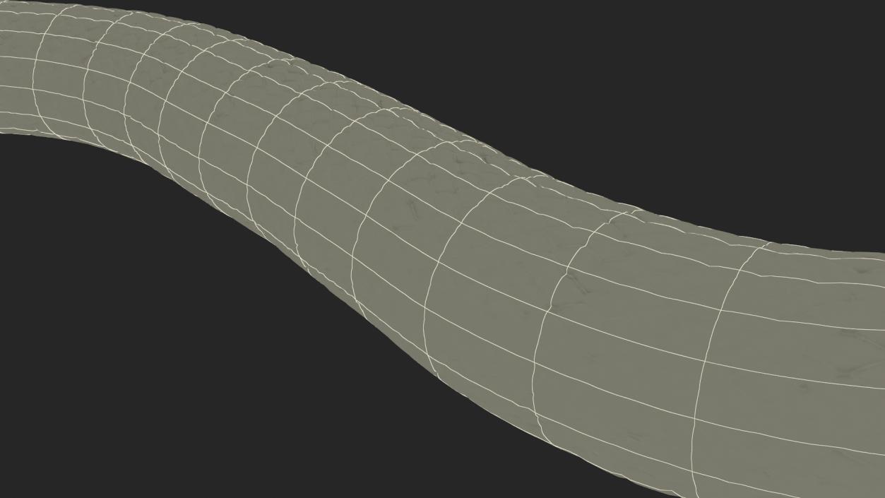 3D model Grass Snake Green Rigged for Cinema 4D 2