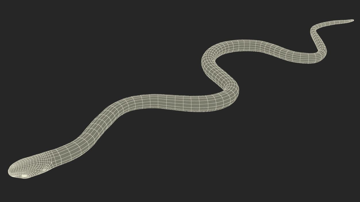 3D model Grass Snake Green Rigged for Cinema 4D 2