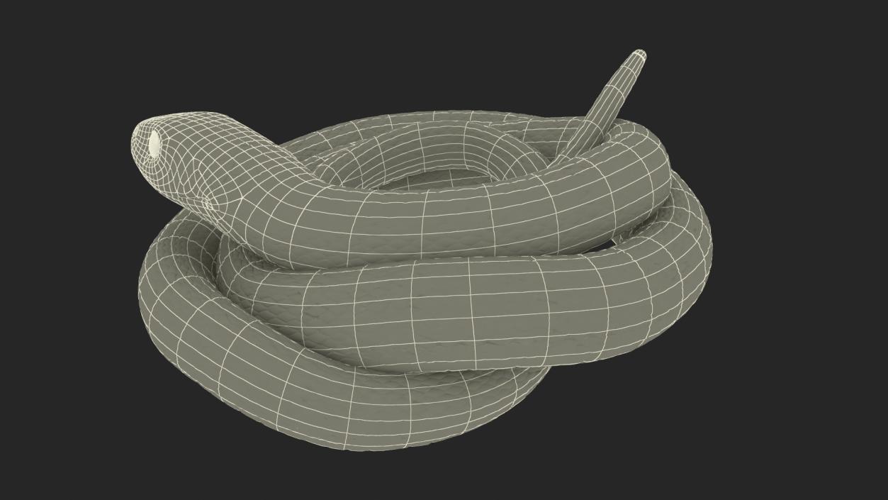 3D model Grass Snake Green Rigged for Cinema 4D 2