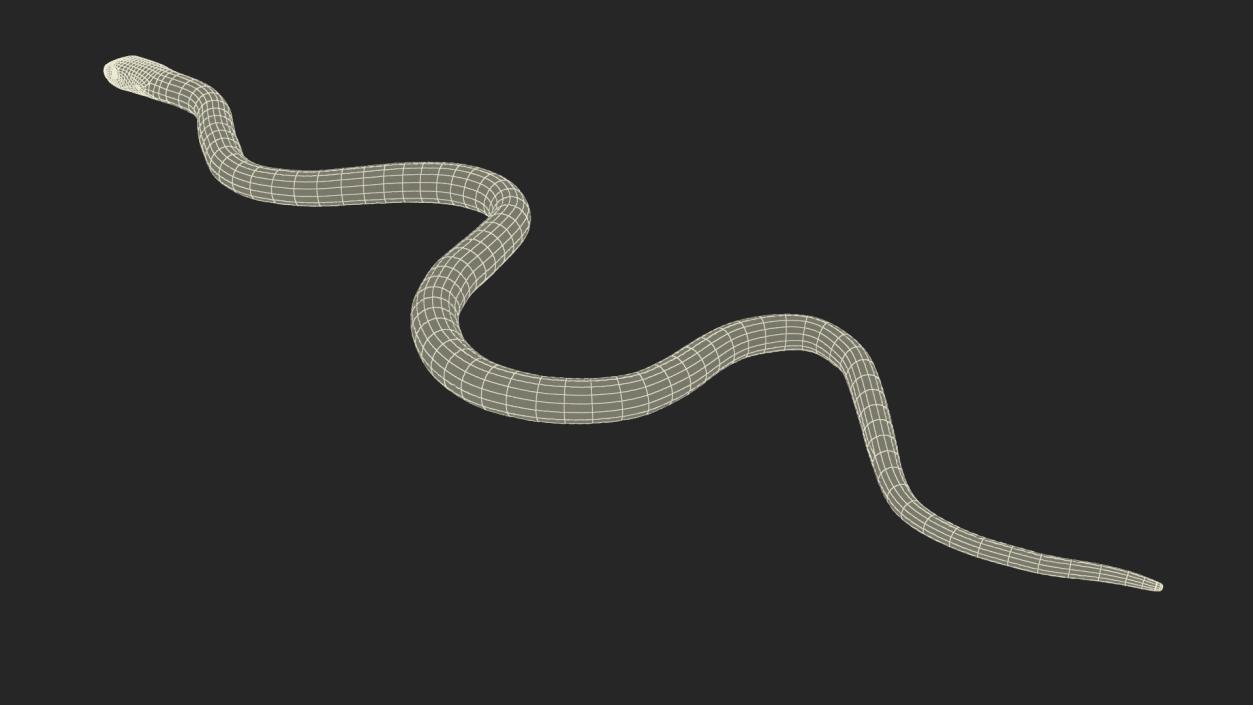 3D model Grass Snake Green Rigged for Cinema 4D 2