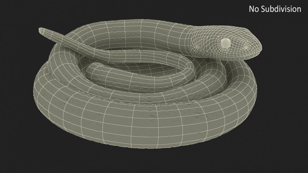 3D model Grass Snake Green Rigged for Cinema 4D 2