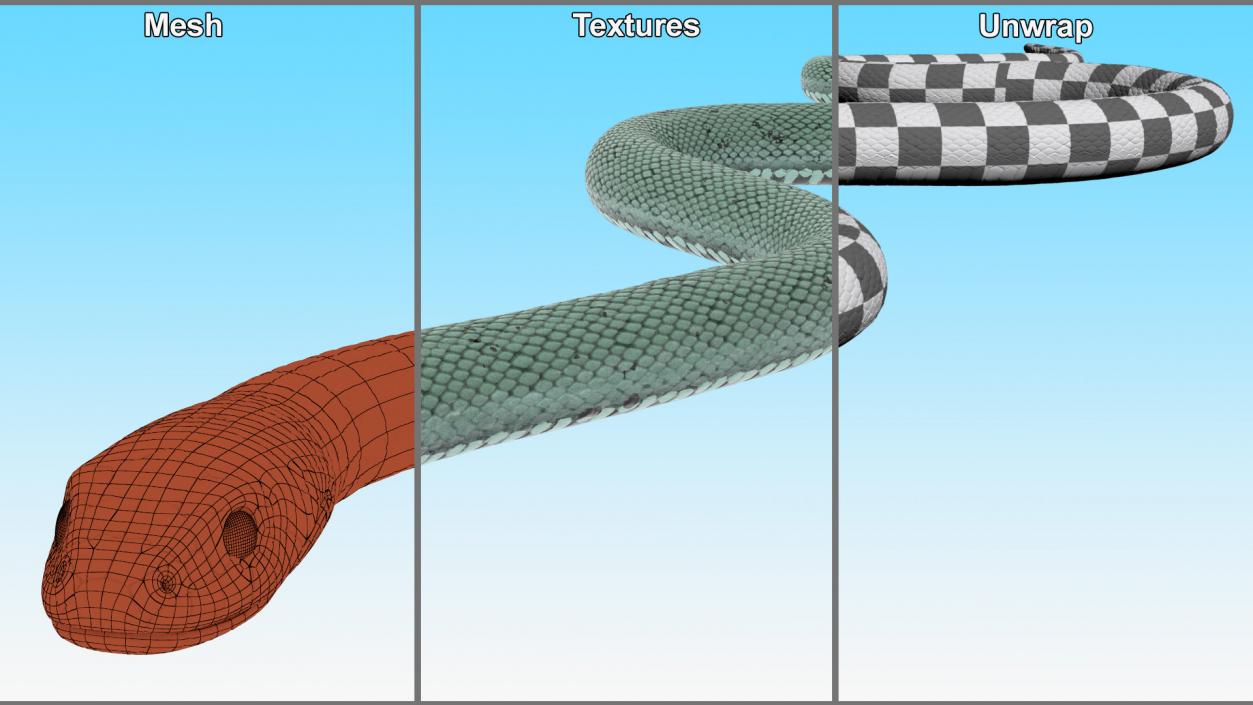 3D model Grass Snake Green Rigged for Cinema 4D 2