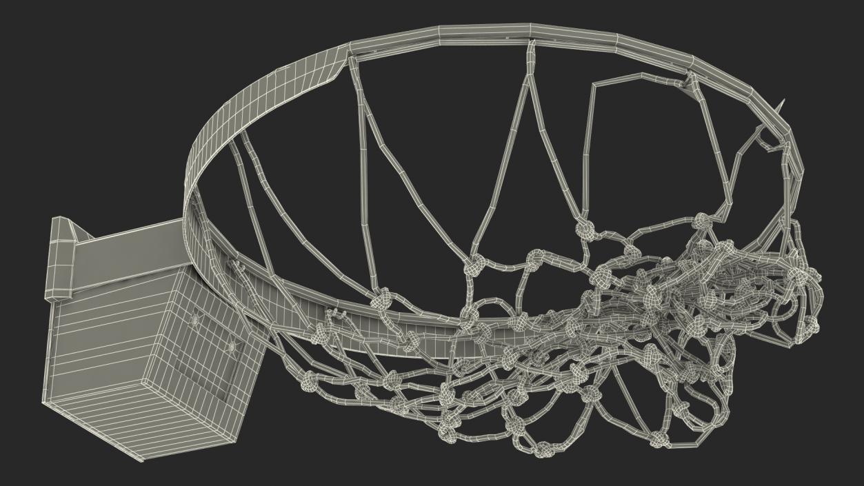 3D model Animated Spalding Basketball Falls Through the Net