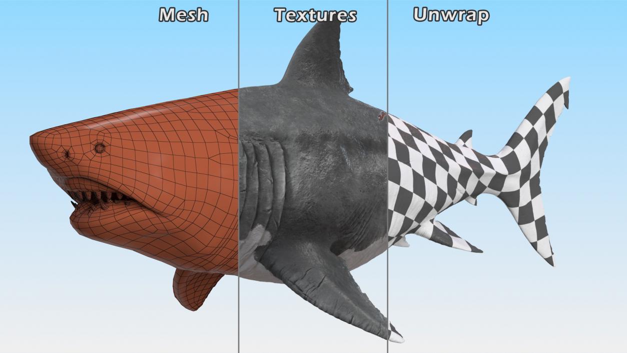 Rigged Sharks Collection 12 3D