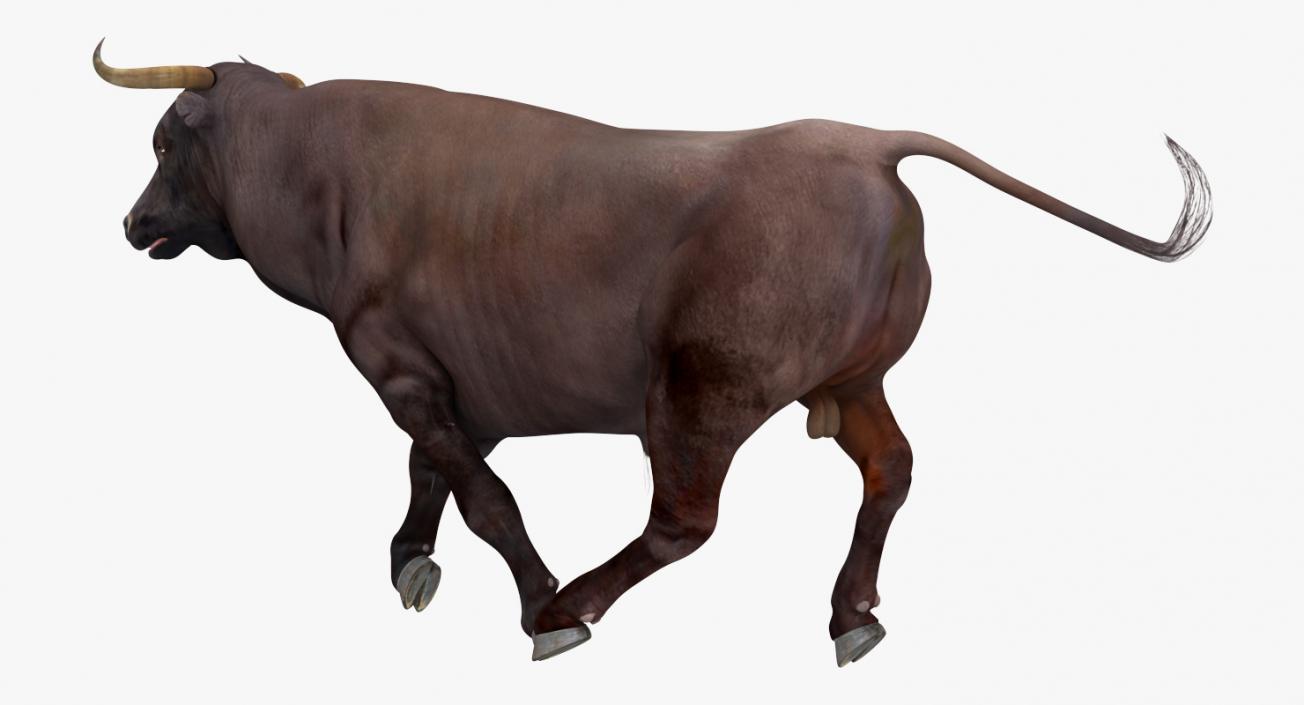 Bull Running Pose 3D