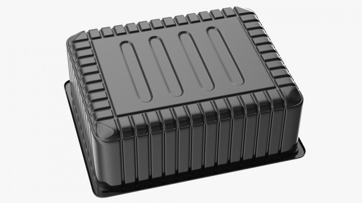 3D Plastic Food Storage without Lid Black 32x26cm