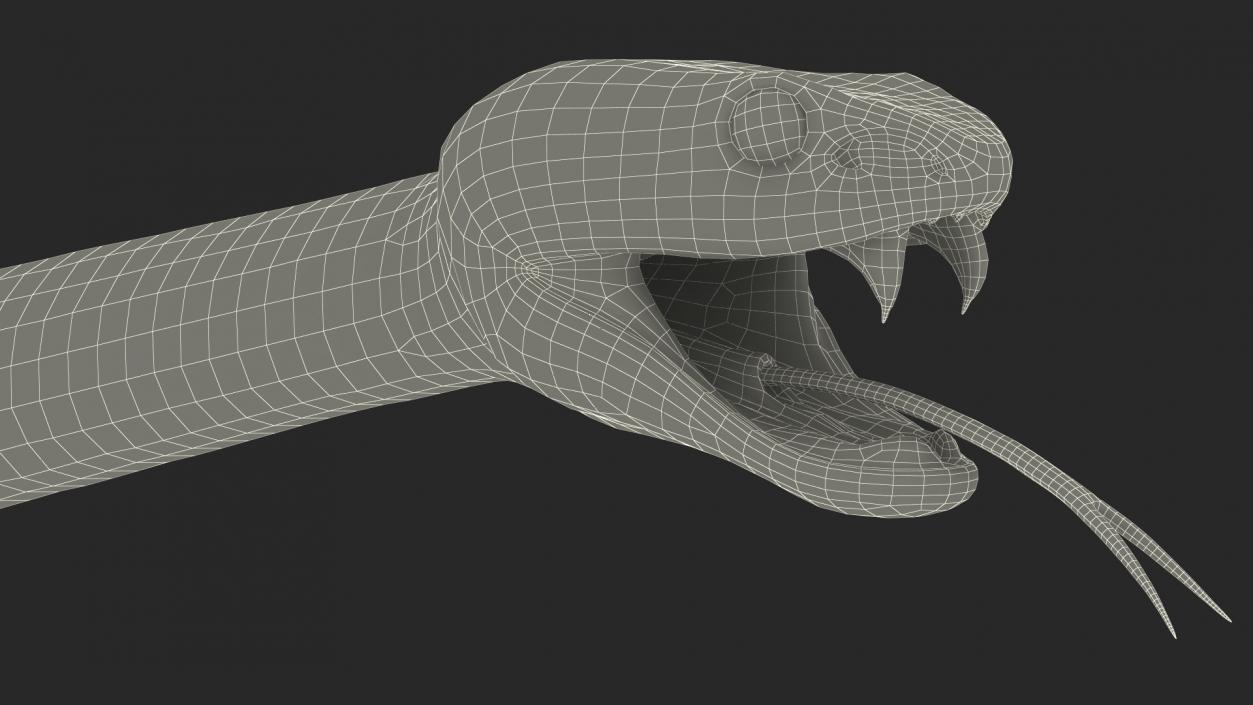 3D Blue Trimeresurus Snake model