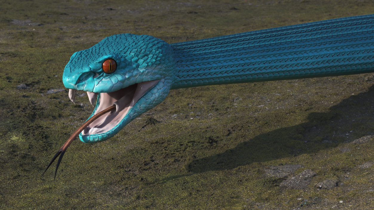 3D Blue Trimeresurus Snake model