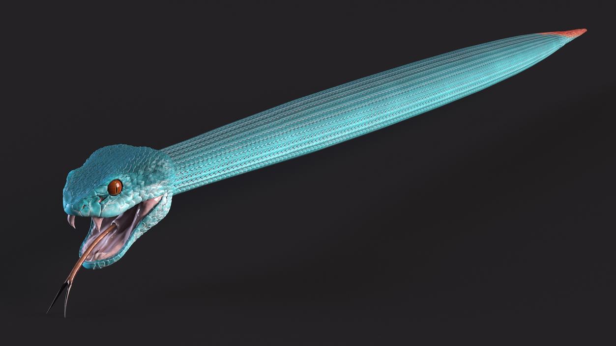 3D Blue Trimeresurus Snake model