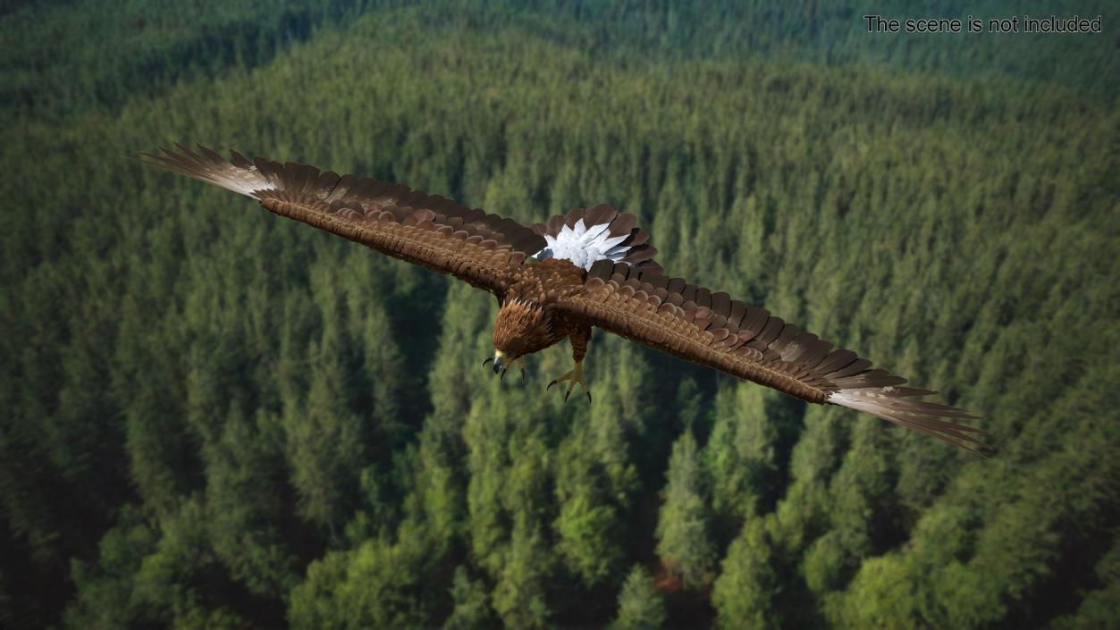 Realistic Golden Eagle T Pose 3D model