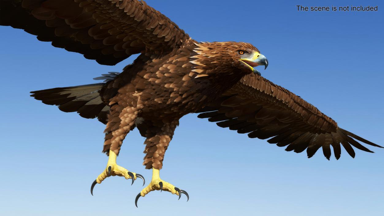 Realistic Golden Eagle T Pose 3D model