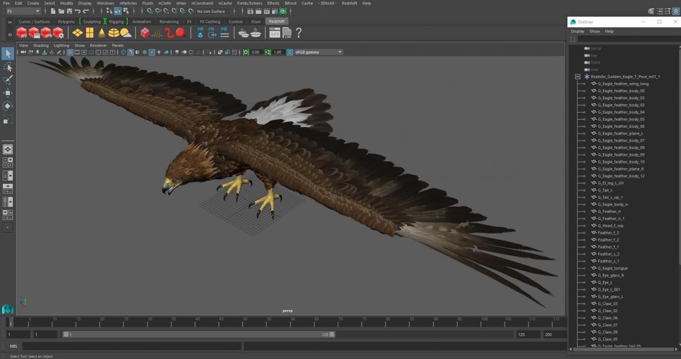 Realistic Golden Eagle T Pose 3D model