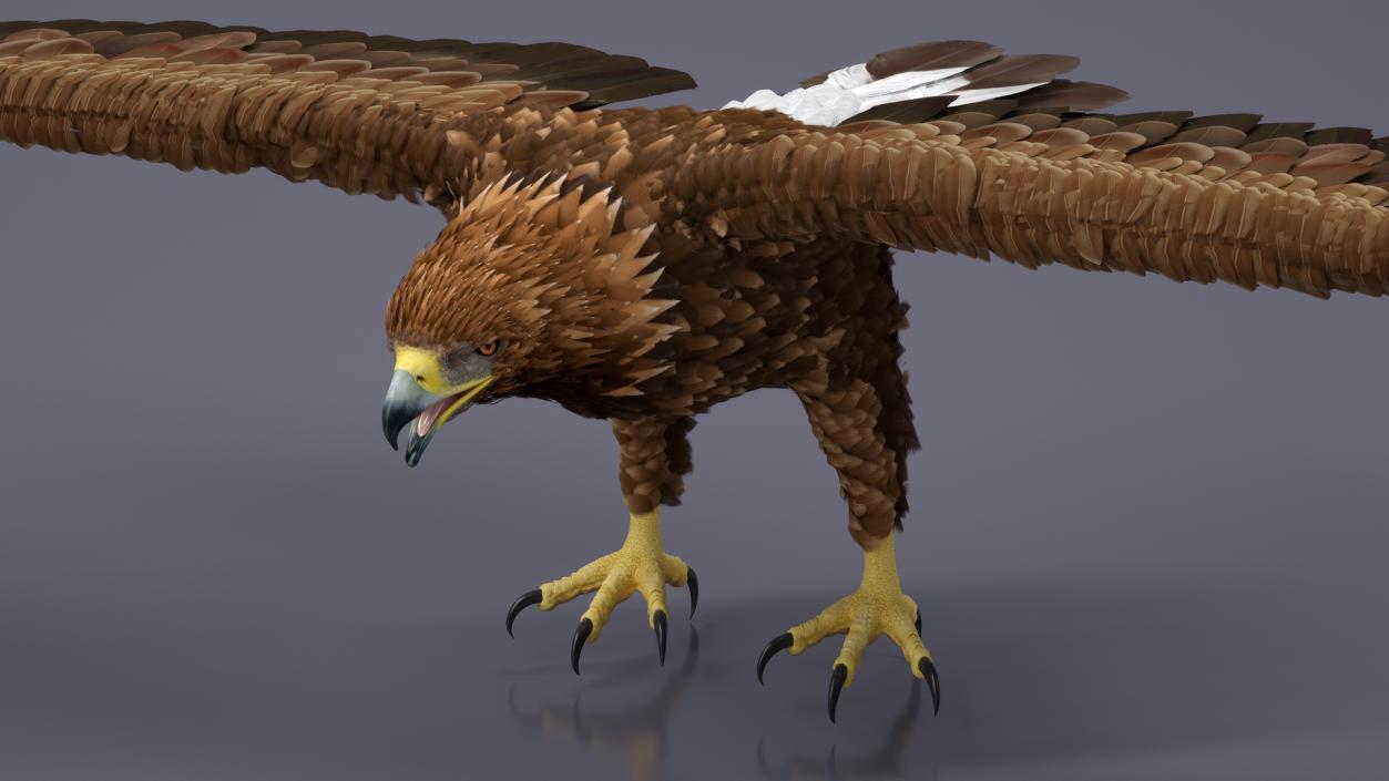 Realistic Golden Eagle T Pose 3D model