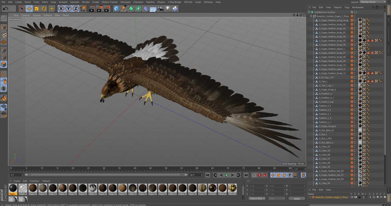 Realistic Golden Eagle T Pose 3D model