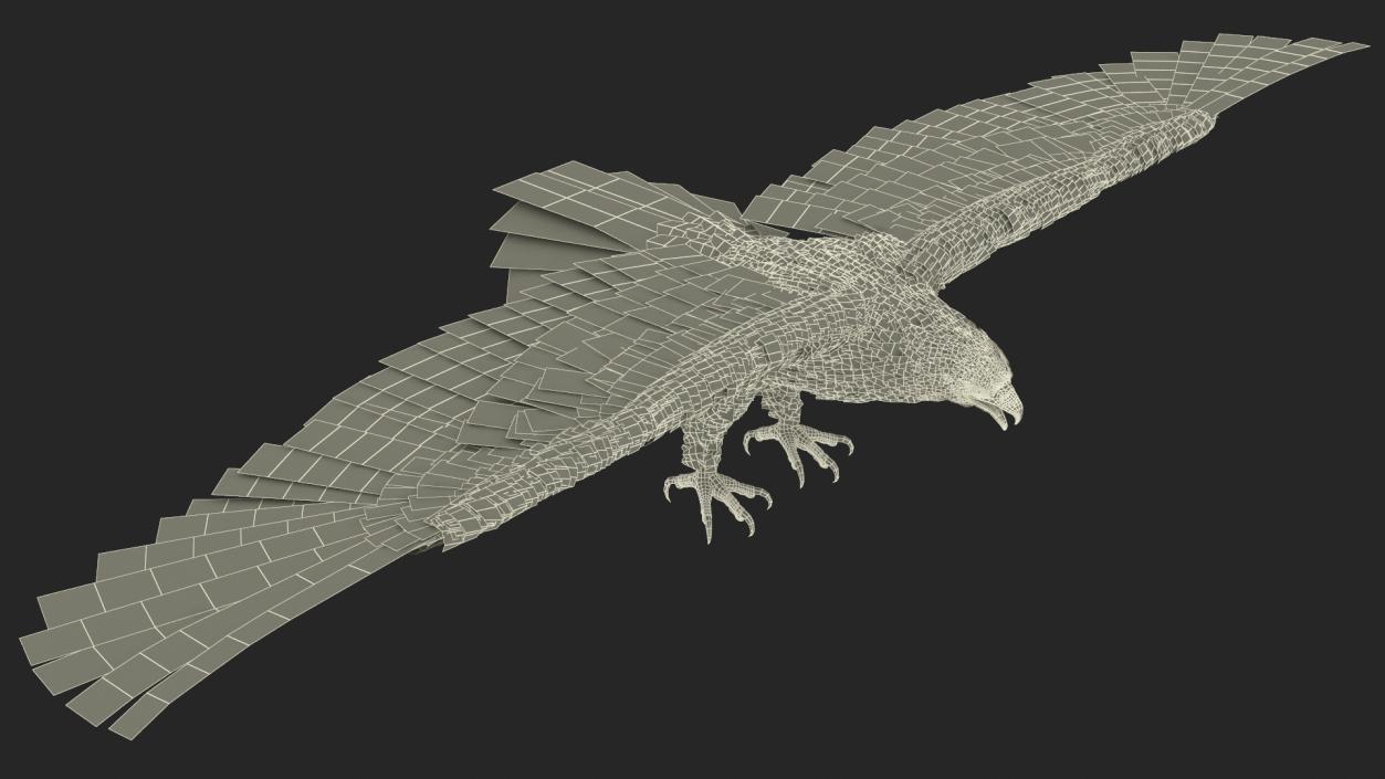 Realistic Golden Eagle T Pose 3D model