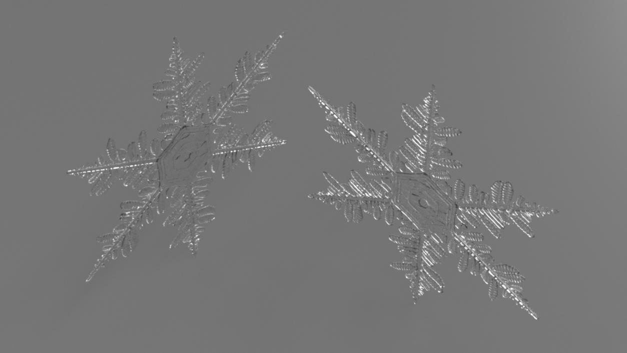 3D Detailed Snowflake model