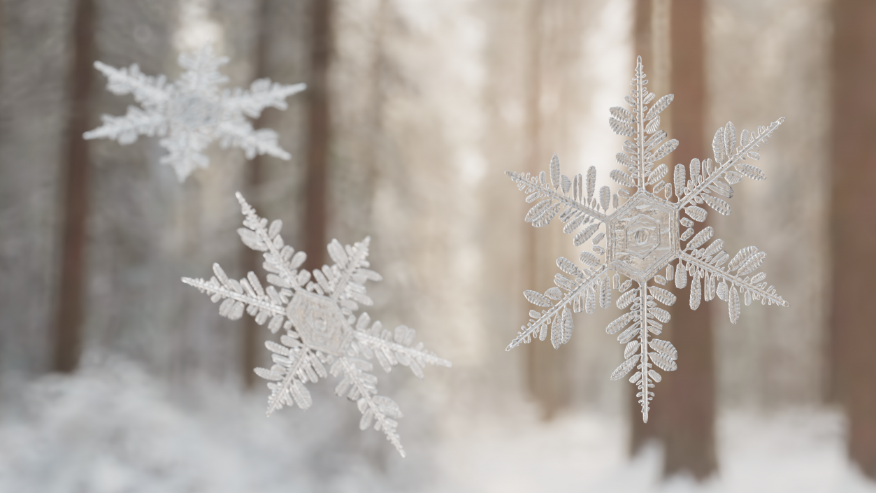 3D Detailed Snowflake model