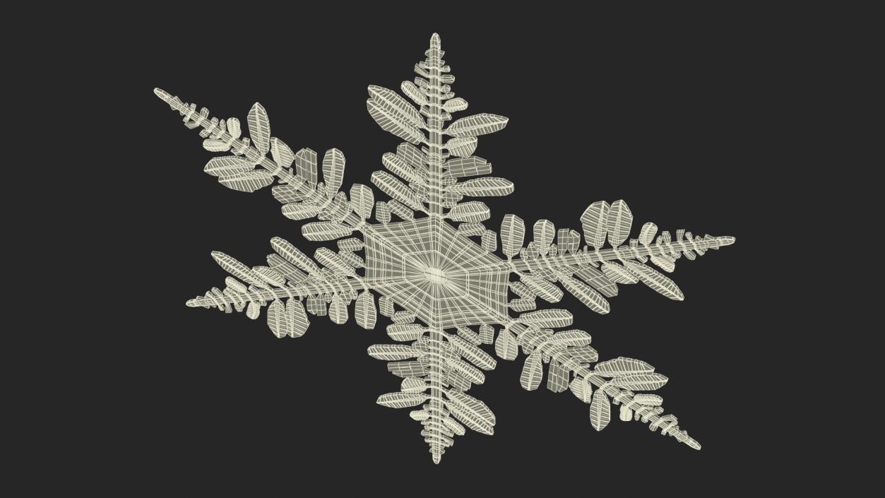 3D Detailed Snowflake model