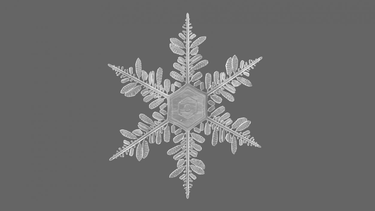 3D Detailed Snowflake model